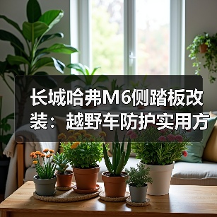 长城哈弗M6侧踏板改装：越野车防护实用方案