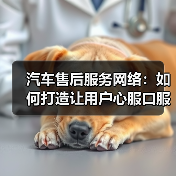 汽车售后服务网络:如何打造让用户心服口服的保障? 汽车售后服务网络:如何打造让用户心服口服的保障?
