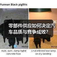 零部件供应如何决定汽车品质与竞争成败? 零部件供应如何决定汽车品质与竞争成败?