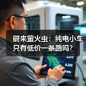 蔚来萤火虫：纯电小车只有低价一条路吗？