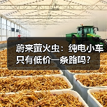 蔚来萤火虫：纯电小车只有低价一条路吗？