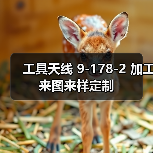 工具天线 9-178-2 加工来图来样定制 工具天线 9-178-2 加工来图来样定制