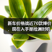 智穹界佑迈疾配网 智穹界佑迈疾配网