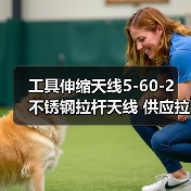 工具伸缩天线5-60-2 不锈钢拉杆天线 供应拉杆通讯天线规格可定制 工具伸缩天线5-60-2 不锈钢拉杆天线 供应拉杆通讯天线规格可定制