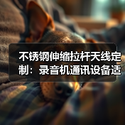 不锈钢伸缩拉杆天线定制:录音机通讯设备适用,质量保障 不锈钢伸缩拉杆天线定制:录音机通讯设备适用,质量保障