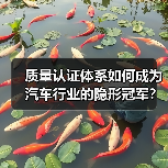 智穹界佑迈疾配网 智穹界佑迈疾配网