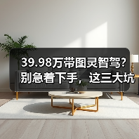 39.98万带图灵智驾?别急着下手,这三大坑千万别踩 39.98万带图灵智驾?别急着下手,这三大坑千万别踩