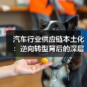 智穹界佑迈疾配网 智穹界佑迈疾配网