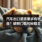 智穹界佑迈疾配网 智穹界佑迈疾配网