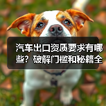 汽车出口资质要求有哪些?破解门槛和秘籍全解析 汽车出口资质要求有哪些?破解门槛和秘籍全解析