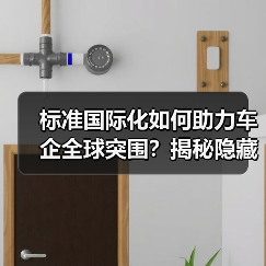 标准国际化如何助力车企全球突围?揭秘隐藏密码 标准国际化如何助力车企全球突围?揭秘隐藏密码