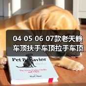 04 05 06 07款老天籁车顶扶手车顶拉手车顶把手顶棚原厂原装**