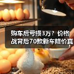 购车后亏损3万?价格战背后70款新车降价真相 购车后亏损3万?价格战背后70款新车降价真相