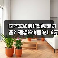 国产车如何打动精明奶爸?理想i6销量破1.6万背后的家庭真相 国产车如何打动精明奶爸?理想i6销量破1.6万背后的家庭真相