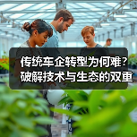 智穹界佑迈疾配网 智穹界佑迈疾配网
