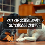 2012款比亚迪速锐1.5T空气滤清器适合吗？