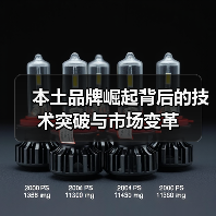 本土品牌崛起背后的技术突破与市场变革 本土品牌崛起背后的技术突破与市场变革