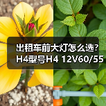 出租车前大灯怎么选？H4型号H4 12V60/55W P43T详解