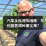 汽车头枕选购指南:颈枕腰靠哪种更实用? 汽车头枕选购指南:颈枕腰靠哪种更实用?