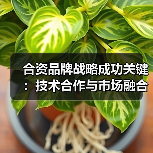 合资品牌战略成功关键:技术合作与市场融合如何共赢 合资品牌战略成功关键:技术合作与市场融合如何共赢