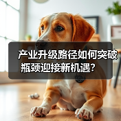 智穹界佑迈疾配网 智穹界佑迈疾配网