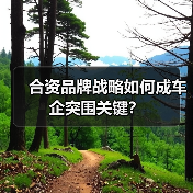 合资品牌战略如何成车企突围关键? 合资品牌战略如何成车企突围关键?