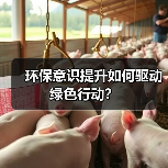 环保意识提升如何驱动绿色行动? 环保意识提升如何驱动绿色行动?