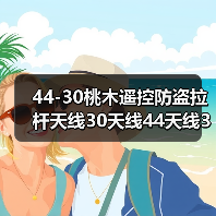 44-30桃木遥控防盗拉杆天线30天线44天线36天线厂家欢迎订购