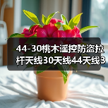 44-30桃木遥控防盗拉杆天线30天线44天线36天线厂家欢迎订购