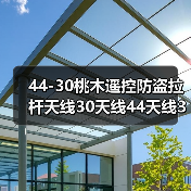 44-30桃木遥控防盗拉杆天线30天线44天线36天线厂家欢迎订购