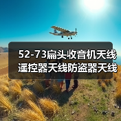 52-73扁头收音机天线遥控器天线防盗器天线电煤天线展开295MM