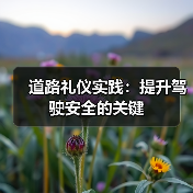 智穹界佑迈疾配网 智穹界佑迈疾配网