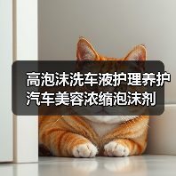 高泡沫洗车液护理养护汽车美容浓缩泡沫剂
