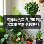 高泡沫洗车液护理养护汽车美容浓缩泡沫剂