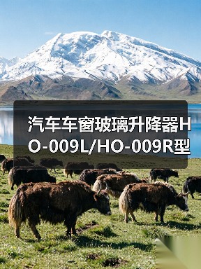 汽车车窗玻璃升降器HO-009L/HO-009R型号741-713 741-765推荐