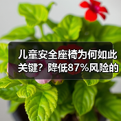 儿童安全座椅为何如此关键?降低87%风险的守护秘诀 儿童安全座椅为何如此关键?降低87%风险的守护秘诀