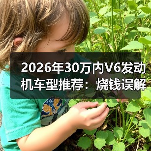2026年30万内V6发动机车型推荐:烧钱误解如何破? 2026年30万内V6发动机车型推荐:烧钱误解如何破?