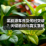 氢能源车普及何时突破?关键瓶颈与真实落地路径 氢能源车普及何时突破?关键瓶颈与真实落地路径