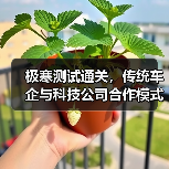 智穹界佑迈疾配网 智穹界佑迈疾配网