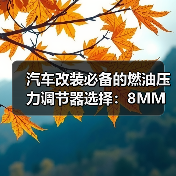 汽车改装必备的燃油压力调节器选择:8MM还是10MM? 汽车改装必备的燃油压力调节器选择:8MM还是10MM?