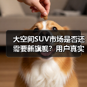 大空间SUV市场是否还需要新旗舰?用户真实需求大不同 大空间SUV市场是否还需要新旗舰?用户真实需求大不同