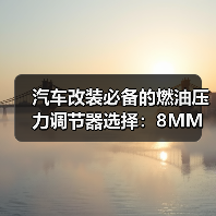 汽车改装必备的燃油压力调节器选择:8MM还是10MM? 汽车改装必备的燃油压力调节器选择:8MM还是10MM?