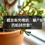 概念车亮相后，量产能否超越想象？