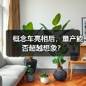 概念车亮相后，量产能否超越想象？