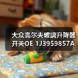 大众高尔夫玻璃升降器开关OE 1J3959857A适配指南 大众高尔夫玻璃升降器开关OE 1J3959857A适配指南