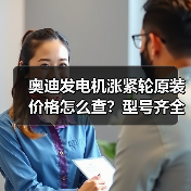 奥迪发电机涨紧轮原装价格怎么查？型号齐全攻略大公开