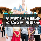 奥迪发电机涨紧轮原装价格怎么查？型号齐全攻略大公开
