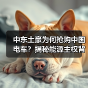 中东土豪为何抢购中国电车?揭秘能源主权背后的硬核合作逻辑 中东土豪为何抢购中国电车?揭秘能源主权背后的硬核合作逻辑