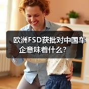 欧洲FSD获批对中国车企意味着什么? 欧洲FSD获批对中国车企意味着什么?