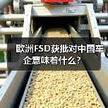 欧洲FSD获批对中国车企意味着什么? 欧洲FSD获批对中国车企意味着什么?